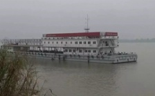  “回頭看”典型案例通報（一）丨安慶市江豚自然保護區不斷瘦身 “水中大熊貓”生境堪憂