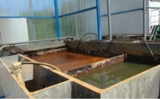  “回頭看”典型案例通報（二）丨湖北鄂州葛店開發區敷衍整改 臭氣擾民問題依然如故