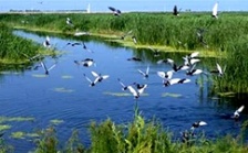  IPBES全球評(píng)估第三次作者會(huì)在德國(guó)召開(kāi)