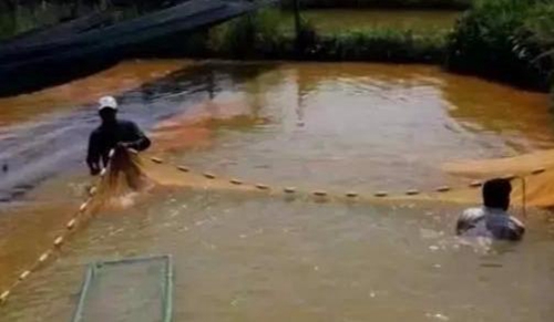 水渾了？不用怕，這五個方面讓水質恢復清新