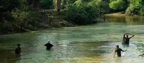 水渾了？不用怕，這五個方面讓水質恢復清新